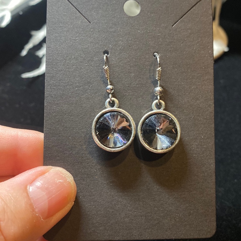 Beautiful Dark Silver Stone Earrings